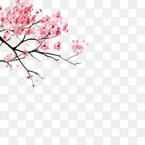 �����������һ�-������