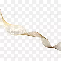 ���Ӳ;�.��Ҷ-������