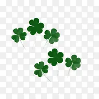 三叶草幸运草-空若网 三叶草幸运草-空若网