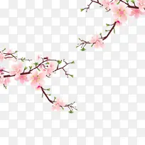 ��ɫ��ͨ��֦�һ����ͼ-������