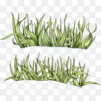 ²Ý»²Ý±¾Ö²Îï¼ôÌù».Ë®²Ê²Ý-¿ÕÈôÍø ²Ý»²Ý±¾Ö²Îï¼ôÌù».Ë®²Ê²Ý-¿ÕÈôÍø