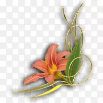 花粉画网剪贴画-角-空若网 花粉画网剪贴画-角-空若网