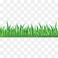 手绘草丛元素素材-空若网 手绘草丛元素素材-空若网