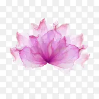 粉色的水彩花-空若网 粉色的水彩花-空若网