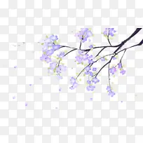 ���컨����֦����-������