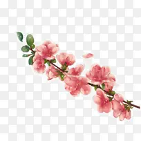 漂浮的一串桃花-空若网 漂浮的一串桃花-空若网