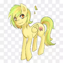 马类动物脊椎动物吐司-空若网 马类动物脊椎动物吐司-空若网