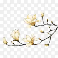 ������������֦����-������