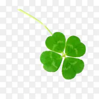 �ֻ���Ҷ��PNGԪ��-������