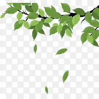 春天的绿色植物树枝-空若网 春天的绿色植物树枝-空若网