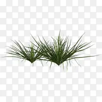 ���ںӱߵ�С��-������