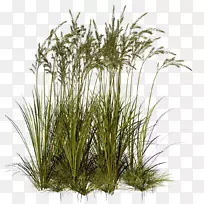 宝马7系列植物剪贴画-加妮雅-空若网 宝马7系列植物剪贴画-加妮雅-空若网