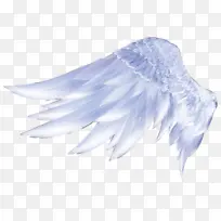 好看的翅膀元素-空若网 好看的翅膀元素-空若网