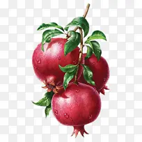 手绘石榴水果-空若网 手绘石榴水果-空若网