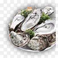 �������png-������