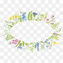 ��Ȧ�߿�ֲ��߿��ֻ滨Ȧ-������