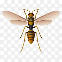 �۷�PNGͼƬ-������