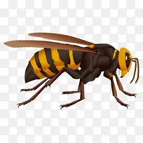 卡通蜜蜂PNG图片素材-空若网 卡通蜜蜂PNG图片素材-空若网