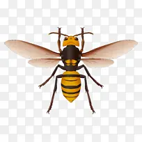 �۷�PNG�ز�-������