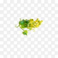 ˮ��ˮ���ز�-������