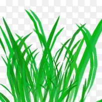 С����ɫ����-������