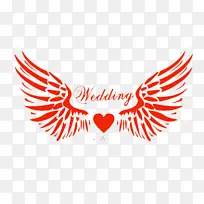 ��ͨ��ɫ����װ�γ��-������