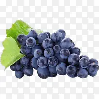 ��ɫˮ������-������