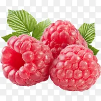 红色水果野生草莓-空若网 红色水果野生草莓-空若网