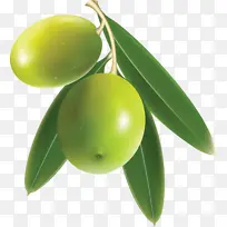 橄榄 蔬菜 水果 果蔬 新鲜蔬菜-空若网 橄榄 蔬菜 水果 果蔬 新鲜蔬菜-空若网