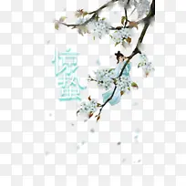 惊蛰二十四节气手绘古风人物树枝花朵-空若网 惊蛰二十四节气手绘古风人物树枝花朵-空若网