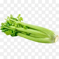 新鲜蔬菜 芹菜-空若网 新鲜蔬菜 芹菜-空若网