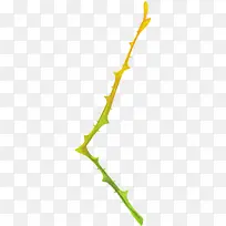 插画风格画植物树枝枝干-空若网 插画风格画植物树枝枝干-空若网