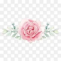 花,手绘花,插画,玫瑰,手绘玫瑰花-空若网 花,手绘花,插画,玫瑰,手绘玫瑰花-空若网