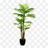 绿植风景树盆栽-空若网 绿植风景树盆栽-空若网