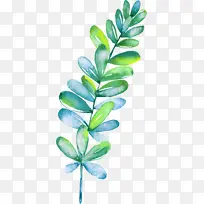 叶子,草木,草,水彩,手绘-空若网 叶子,草木,草,水彩,手绘-空若网