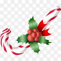 ʥ����ʥ���ǹ���Ҷ-������