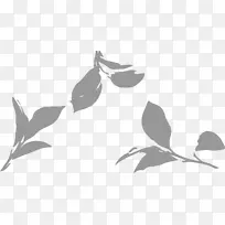 AI树叶元素抠图-空若网 AI树叶元素抠图-空若网