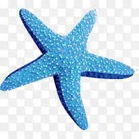 蓝色可爱海星-空若网 蓝色可爱海星-空若网