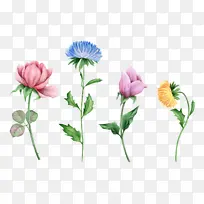 ��ɫˮ�ʻ���-������