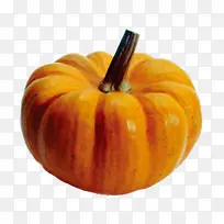 实物 新鲜 蔬菜 南瓜 高清 瓜果-空若网 实物 新鲜 蔬菜 南瓜 高清 瓜果-空若网
