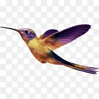 小鸟 飞禽 动物 大树 树杈 树叉 树枝-空若网 小鸟 飞禽 动物 大树 树杈 树叉 树枝-空若网