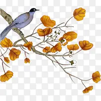 站在秋叶树枝上的鸟-空若网 站在秋叶树枝上的鸟-空若网