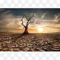 贫瘠孤寂凄凉背景-空若网 贫瘠孤寂凄凉背景-空若网