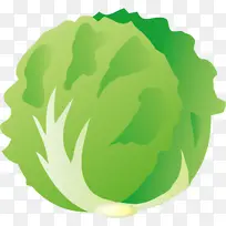 蔬菜插图生菜图片-空若网 蔬菜插图生菜图片-空若网