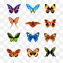 ��ɫ����PNGͼƬ�߲�-������