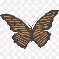 �������׷���������˹�����棬���б����ļ��ܣ������Ͷ�-����-������