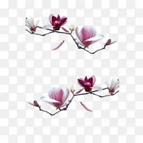 仿真花带树枝话-空若网 仿真花带树枝话-空若网