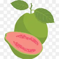 番石榴png水果素材-空若网 番石榴png水果素材-空若网