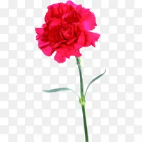 ����ܰĸ�׽�-������