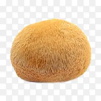 猴头菇植物食物-空若网 猴头菇植物食物-空若网